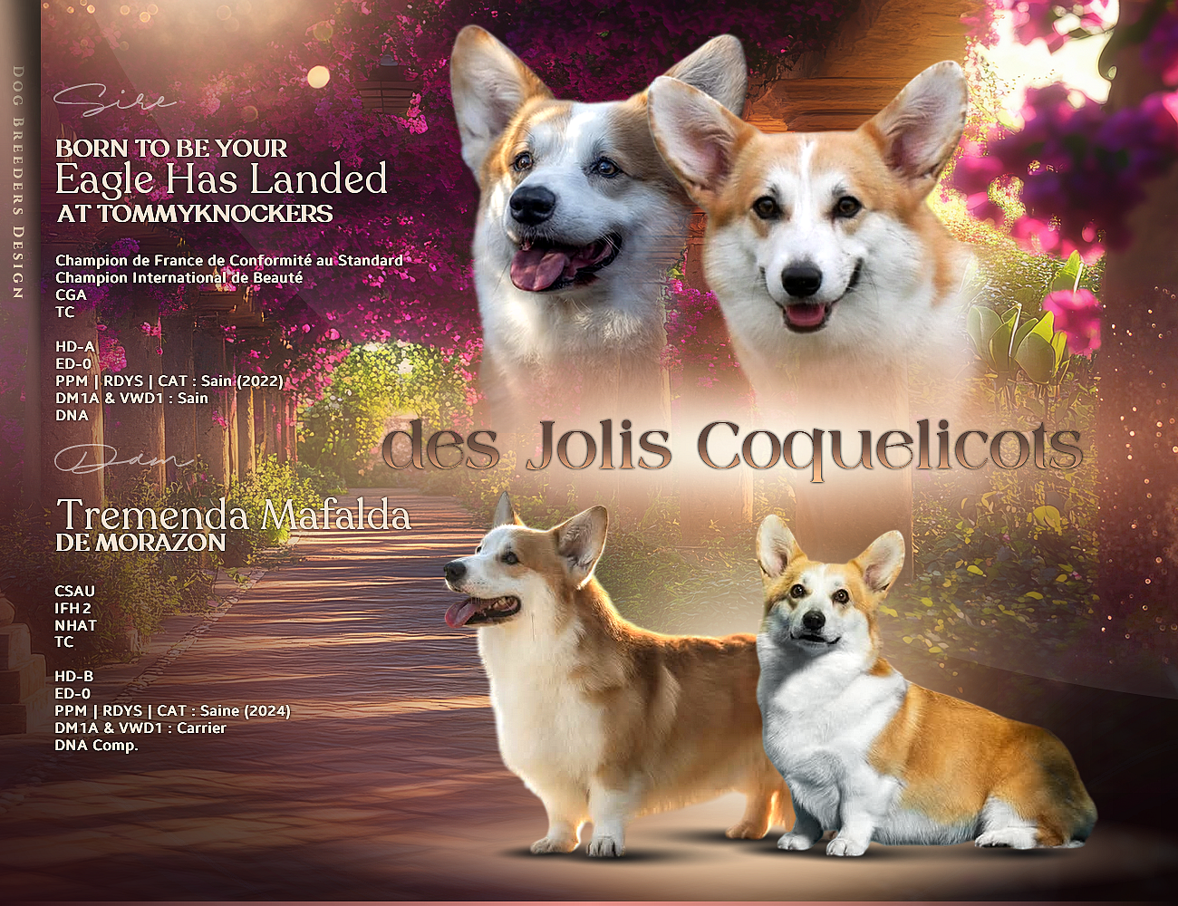 Portée 2026